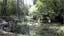 Il torrente scorre nel bosco al lato di Bagni San Filippo